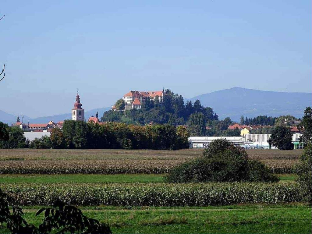 Ptujski grad in krajina davnega leta